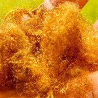 Shkencëtarët ringjallin mëndafshin legjendar të artë 