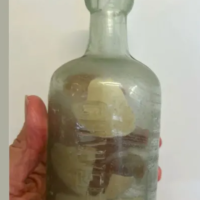 Gjenden disa mesazhe në shishe që flitet se datojnë prej Luftës së Parë Botërore