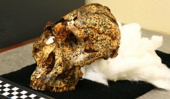 Zbulohet kafka, homo sapiens një milion vjeçar
