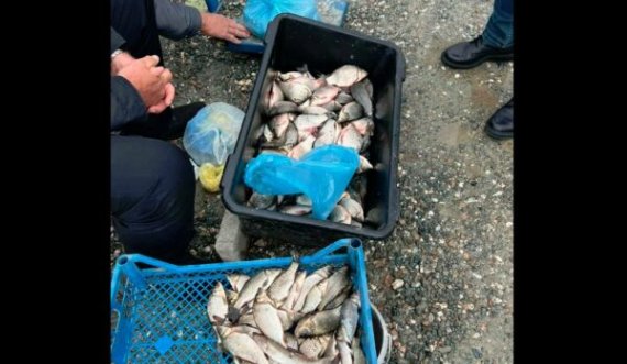 Konfiskohet peshk i paligjshëm që shitej jashtë sezonit
