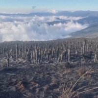 Fenomeni që po alarmon shkencëtarët pritet të godasë Tokën