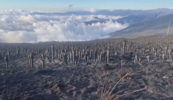 Fenomeni që po alarmon shkencëtarët pritet të godasë Tokën