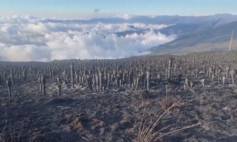 Fenomeni që po alarmon shkencëtarët pritet të godasë Tokën