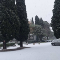 Podgorica mbulohet nga bora