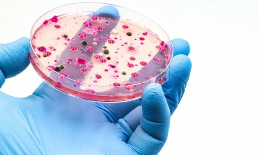 Kërpudha vdekjeprurëse po përhapet globalisht dhe po bëhet më infektuese