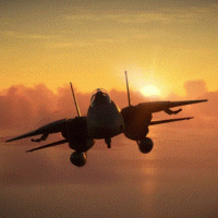 Mikroprocesori i parë ishte një çip i fshehur nga avioni F-14 Tomcat